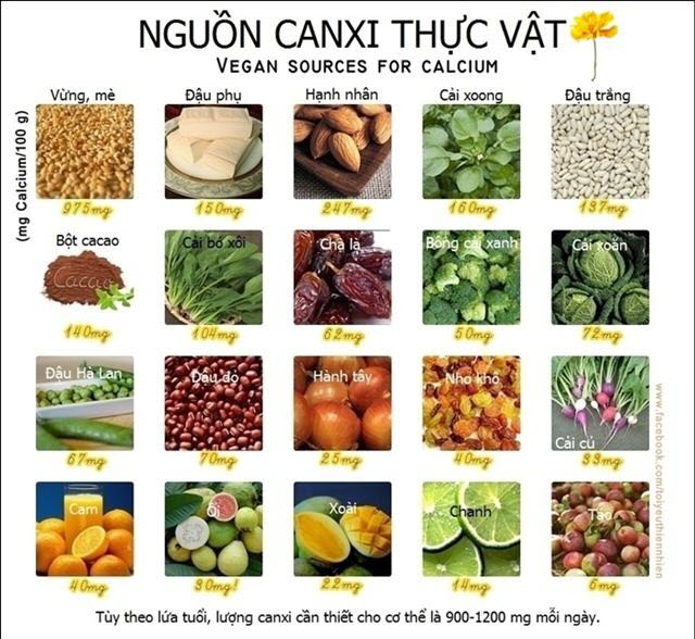 Hàm lượng Canxi trong 100g thực phẩm ăn được