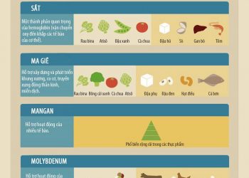 Vai trò của khoáng chất trong thực phẩm
