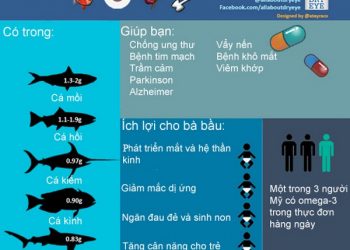 Vai trò của Omega 3 đối với cơ thể