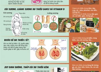 Vi chất dinh dưỡng và những điều cần biết