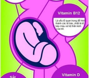 Vitamin cho bà bầu