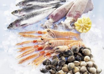 Vitamin "đầu bảng" cho sự phát triển toàn diện của bé