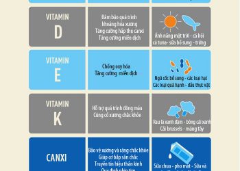 Vitamin và khoáng chất