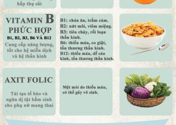 Vitamin và khoáng chất thiết yếu