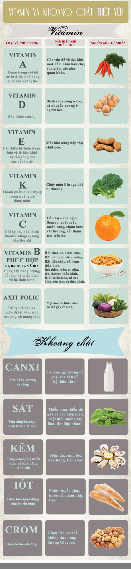 Vitamin và khoáng chất thiết yếu