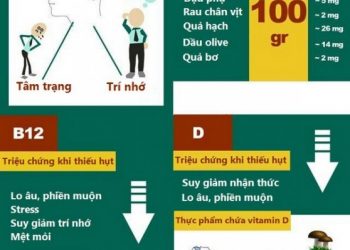 Vitamin với trí não